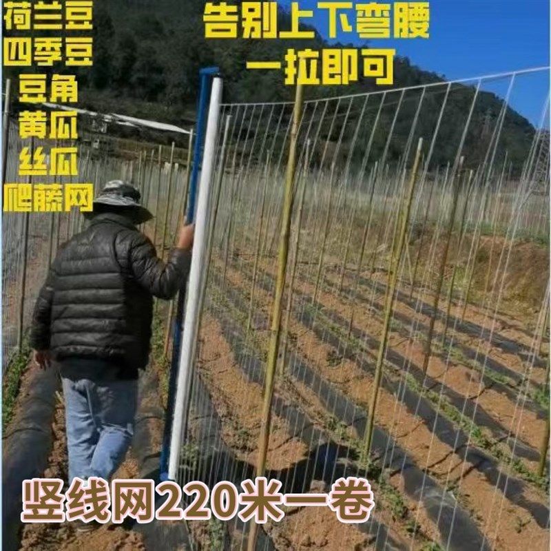 爬藤网豆角西红柿茄瓜植物爬藤网豌豆四季豆豇豆等豆类爬藤,农机/农具/农膜,农场护栏网,淘宝优惠券,粉丝福利购,淘宝优惠卷
