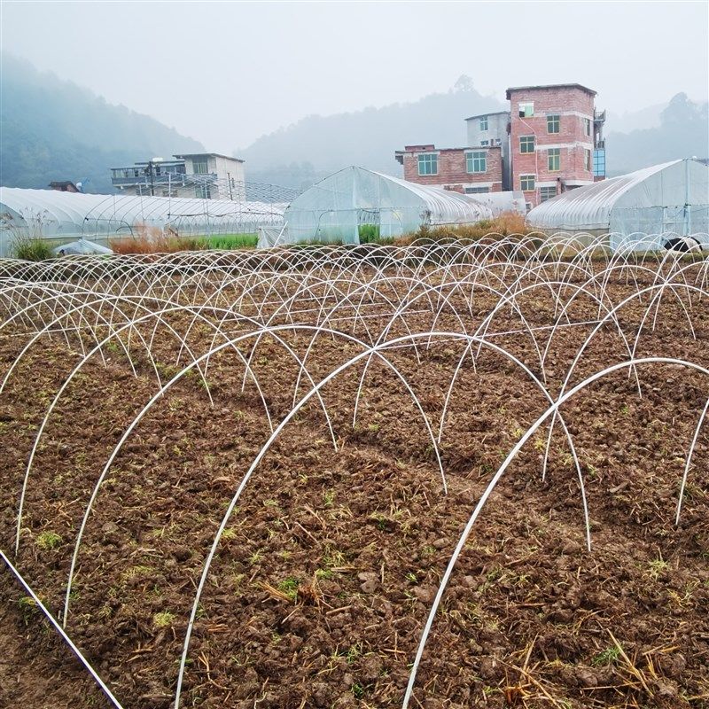 蔬菜拱棚支架玻璃纤维杆育苗拱杆葡萄避雨棚保温棚农业园艺,农机/农具/农膜,温室大棚支架,淘宝优惠券,粉丝福利购,淘宝优惠卷