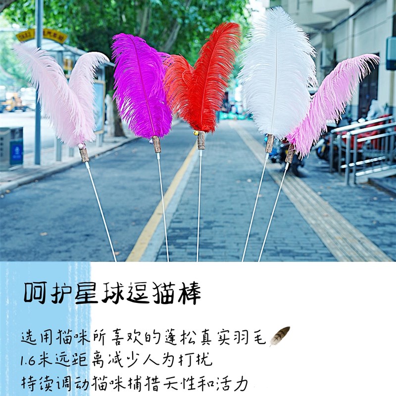 呵护星球猫咪赛级长杆逗猫棒原木手柄原生羽毛宠物玩具 猫咪解闷