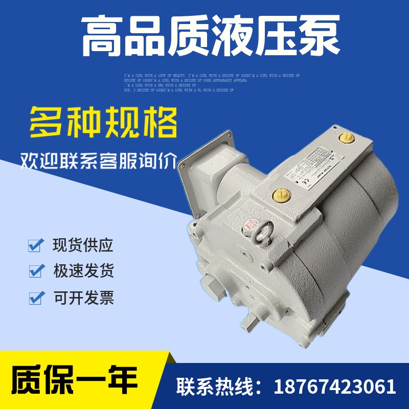 RP08A1-07-30-T油泵RP15A1-15-30转子泵RP15A1-22-30-T