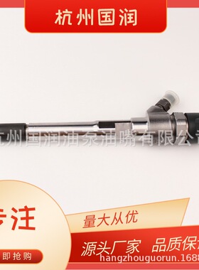 一汽柴油共轨 0445110355 喷油器总成阀组件F00VC01359