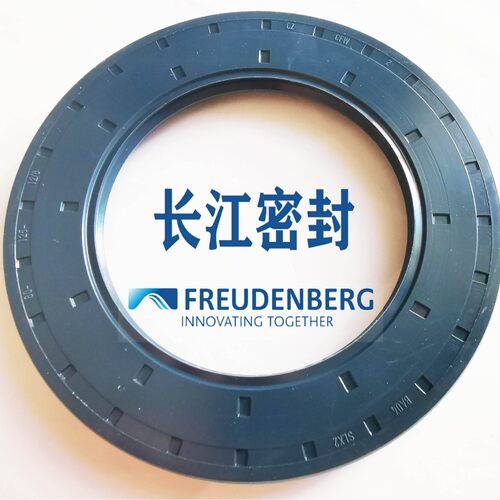 德国CFW进口密封骨架密封圈