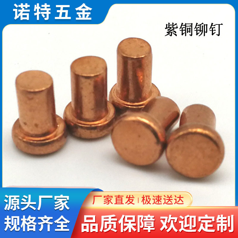东莞大朗厂家供应紫铜平头铆钉红铜实心铆钉