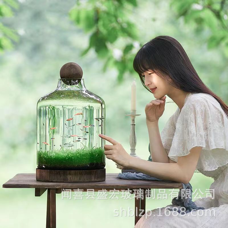 厂家轻奢玻璃鱼缸木托日式创意生态瓶花瓶椭圆形聚宝盆微景观