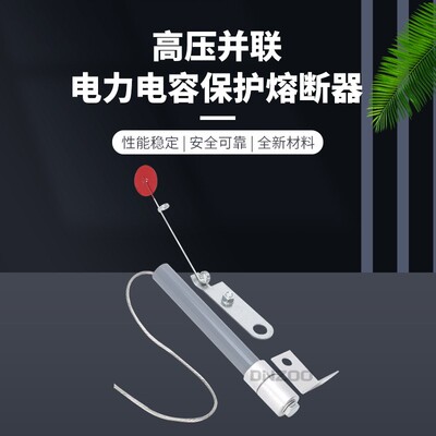 BRW-10/100P BR1-10/100P高压熔断器，电力电容器保护高压熔断器
