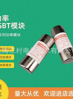 全新熔断器保险丝全新FR14AM50V6P E219240 FR14AM50V8P N222215