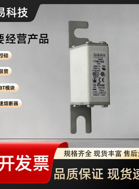 170M1308 170M1309 170M1310 170M1311 170M1312熔断器170M系列