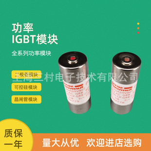 M215130 FR10AM50V0.25 全新熔断器保险丝FR10AM50V0.16 E214617