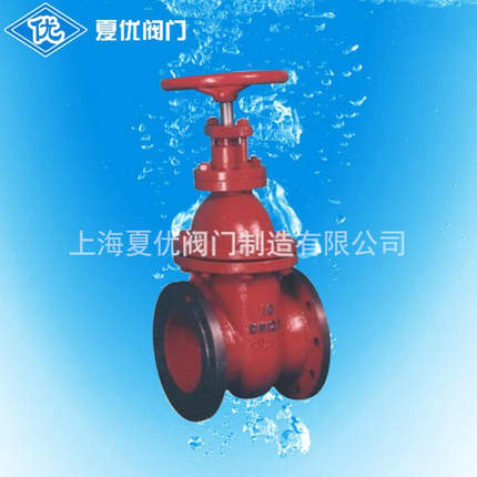 CB/T465-95船用铸铁闸阀 法兰船标i海水闸阀A10100