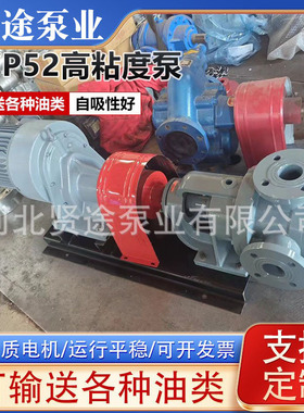 NYP52高粘度泵白乳胶树脂胶潜水泵铸铁保温泵内啮合齿轮泵