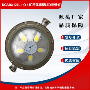 井下本安型LED 应急灯 127L 矿用隔爆型LED巷道灯DG836