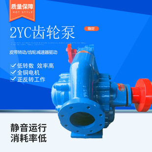 5.5Kw 2CY齿轮泵电机 4Kw 3Kw 厂家发货 电动电机转子泵功率2.2Kw