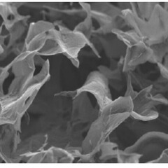 0.2-10μm Mxene 单层碳化钛 Ti3C2Tx  1g