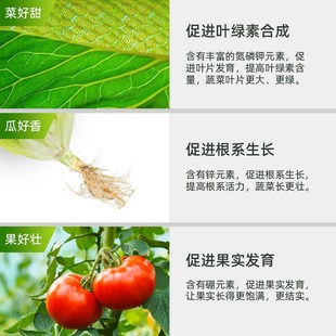 森林盒子家庭阳台种植蔬菜草莓瓜果通用营养液绿植肥料浓缩液体肥