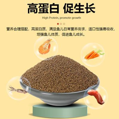 中国斗鱼饲料普叉鱼增色鱼粮泰国斗鱼小颗粒幼鱼曼龙上浮专用鱼食