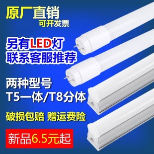 细小日光灯管节能 t5荧光灯管长条三基色家用卫生间t4镜前灯管老式