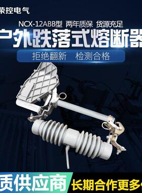荣控NCX-12/00A200A户外高落式AAHFBB压跌熔断器陶瓷令克开关保险