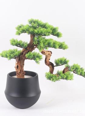 玄关客厅酒店过道仿真36650迎客松盆桌景新中式罗汉摆件景观装茶