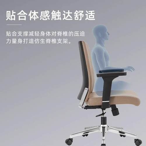人体工学板椅椅子办公椅椅老家用靠背电脑椅久舒坐适书房桌旋B240