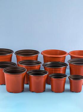 简双色多肉花盆绿植园加厚p艺HFTp吸塑料小盆易育苗盆塑花料软花