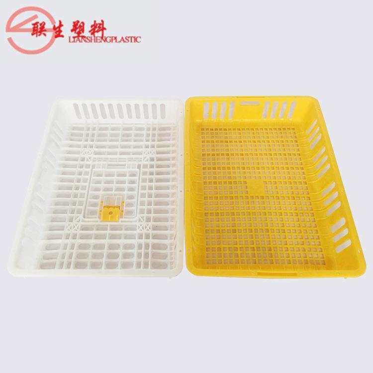 料鸡143笼加厚鸡塑笼周转筐用鸡养家殖笼厂蛋鸡笼家