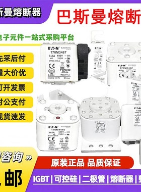 巴斯曼熔断器保险丝 170M1311 170M5456 170M4410 6466 6414 询价