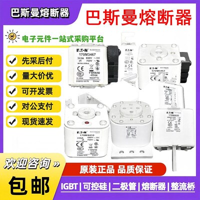 巴斯曼熔断器保险丝 170M1311 170M5456 170M4410 6466 6414 询价