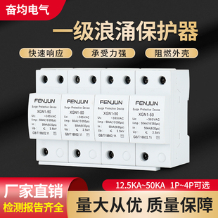 4P电涌避雷器 一级T1浪涌保护器一级防雷器12.5KA 100KA2P