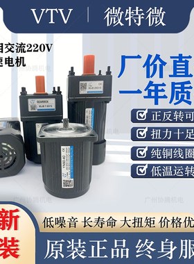微特微VTV电机YN60 YN70 YN80 YN90 YN100 220V调速电机减速机