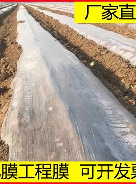 农用种植白色地膜种地80厘米60蔬B菜1/2/3米宽过冬地布混凝土玉米