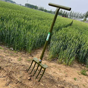 王中王新款翻土器松土钢叉农用硬地翻土叉子种花种菜翻土神器家用