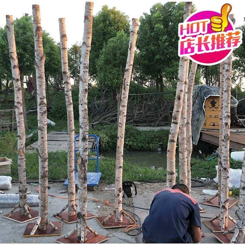现货速发白桦树装饰木白桦树干装饰隔断屏风玄关背景墙橱窗树干白