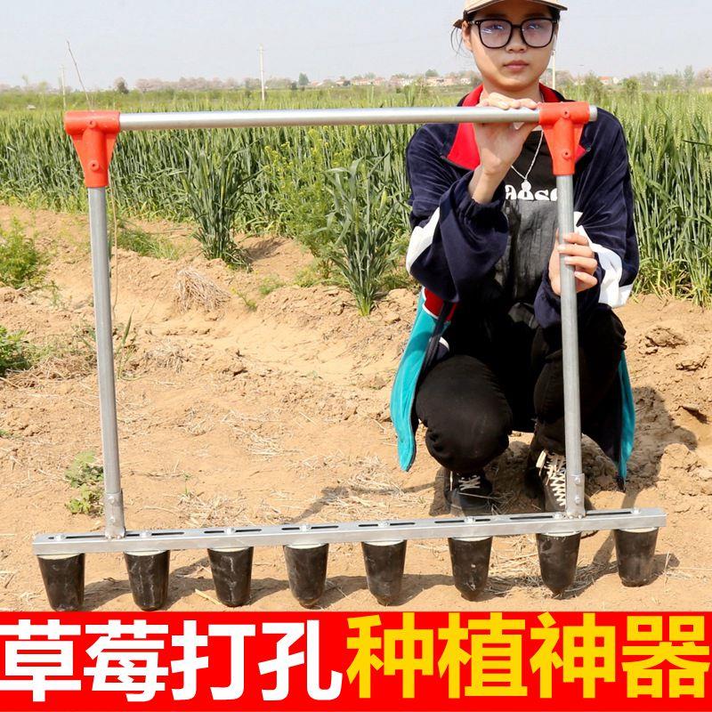 草莓种植打孔神器农用工具栽苗器打孔种植撒饵器大棚栽草莓打洞器