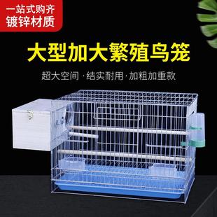 中型加粗加重加密镀锌牡丹文鸟鹦鹉鸟笼玄风繁殖笼八哥大号鸟笼子