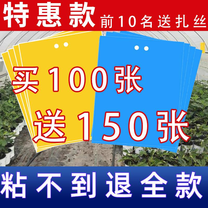 粘虫板黄色双面粘胶农用诱虫板强力蓝板果园大棚茶菜园防水灭虫板