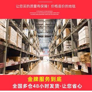 客厅地毯高级轻奢现代简约茶几毯家用ins风沙发卧室地垫2022新款