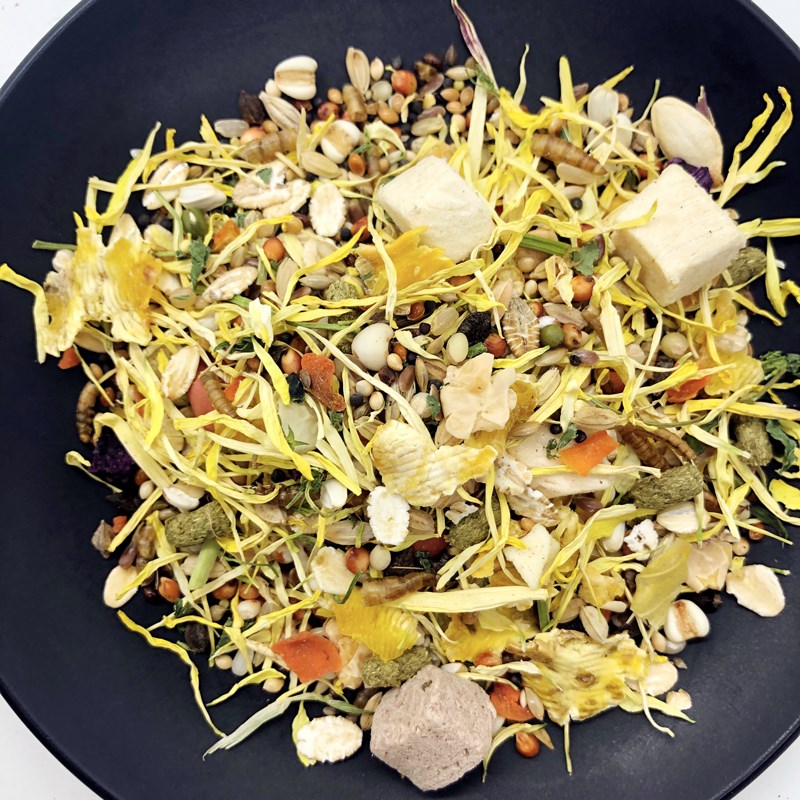 仓鼠粮食营养自配粮金丝熊食物侏儒主粮熊粮冻干自配饲料零食用品