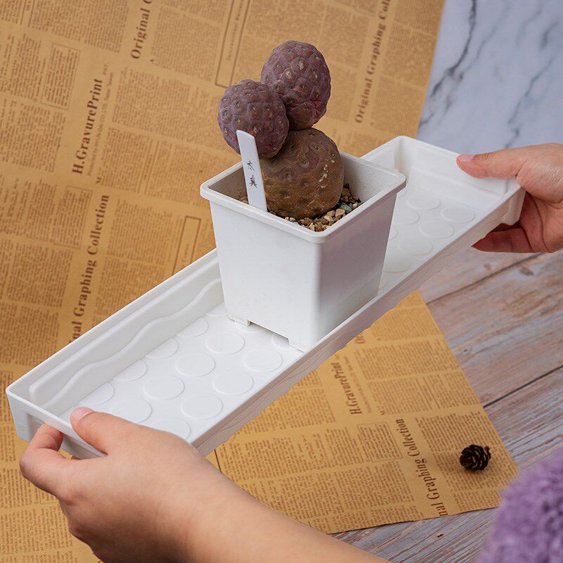 长方形花盆托盘塑料加厚接水底座多肉10方盆蓄水收纳整理盘浸盆