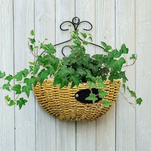 饰吊兰绿萝悬挂墙壁花Q盘壁挂花盆挂壁挂墙 吊篮装 式 花篮绿箩墙上
