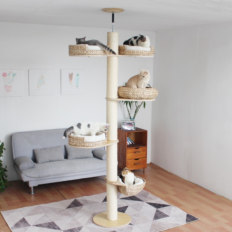 顶天立地实木通天柱猫爬架不占地猫树高层大型太空舱猫窝剑麻绳柱