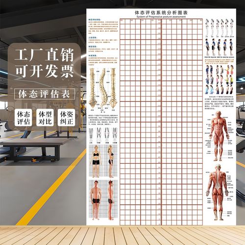 体态评估表体姿图壁画健身房瑜伽馆身体姿态评估图培训机构体测表