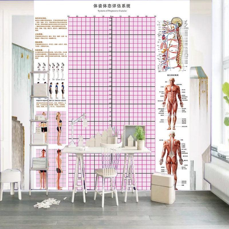 体态评估图站姿评估体测表健身姿势体态图瑜伽体姿体位测评墙壁纸