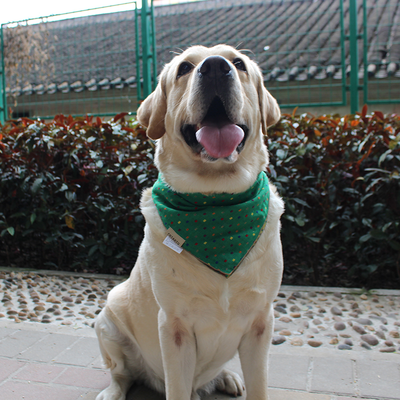狗狗口水巾中大型犬卖萌拍照围脖可爱三角巾金毛拉布拉多宠物用品