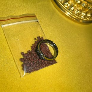 莲师法器戒指/法戒/金刚亥母/宗萨仁波切监制/邬金刹土乐空自在戒