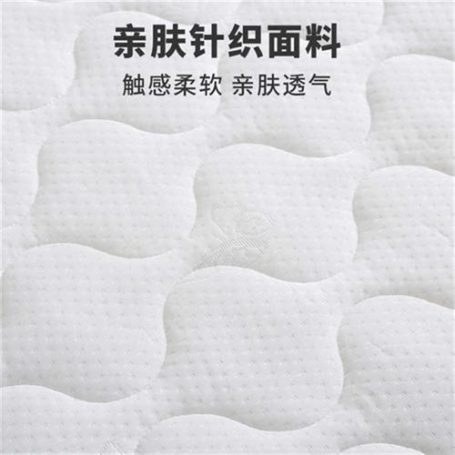 分区护脊海绵床垫软垫家用榻榻米防滑宿舍单人垫被褥子记忆棉