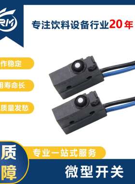 微型开关/ZING/G905/EAR