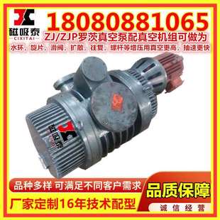 合肥造纸厂用罗茨泵耐酸碱罗茨真空泵ZJP70罗茨泵1.1KW抽速快