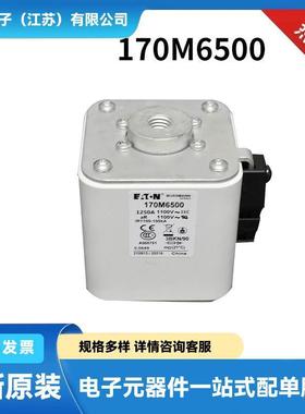 170M6839170M6858170M6859170M6860原装快速熔断器熔芯
