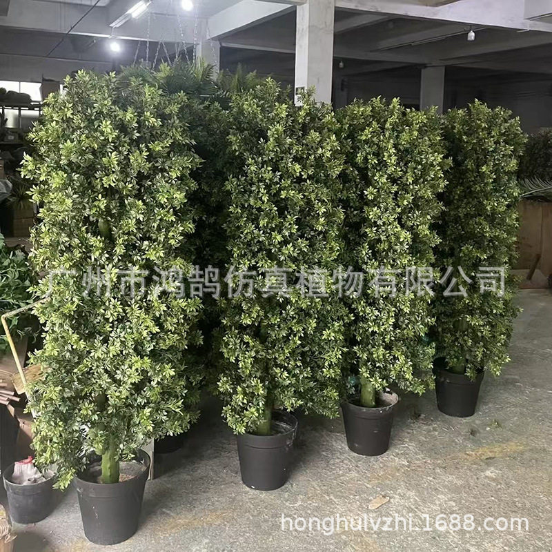 仿真杨梅树工厂加密尤加利米兰螺旋树批发造景装饰大植物盆景园林