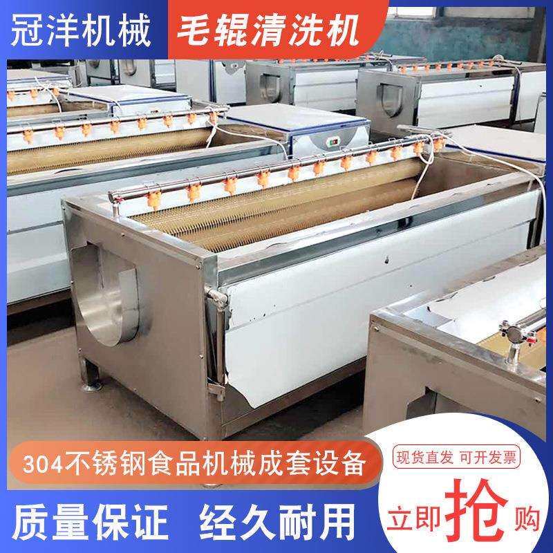 不锈钢多功能九辊清洗机花生清洗机田螺海产品毛刷清洗设备